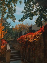 Trees by building against sky during autumn