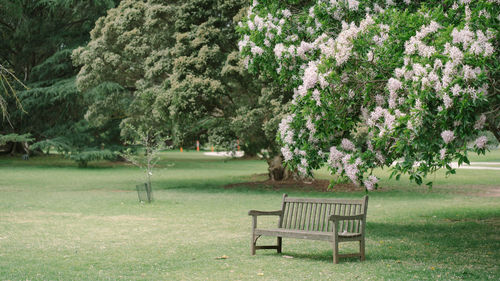 Empty bench in park