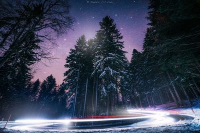 Light trails on road amidst trees against sky at night