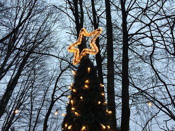 Low angle view of horse on tree against sky