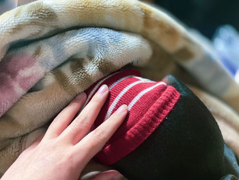 Close-up of pet owner's hand on the dog that got into blanket