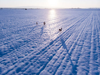 High angle view of people on snow covered land