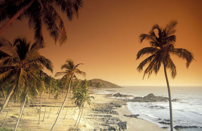 Palm trees on beach against sky