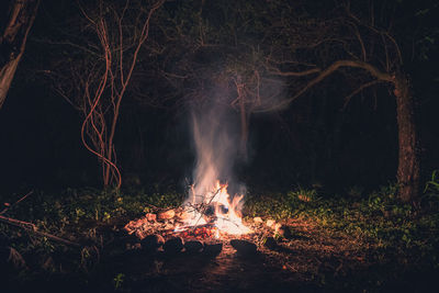 Beware the darkness. flames of campfire at night in a dark spooky forest with stones shaping shadows