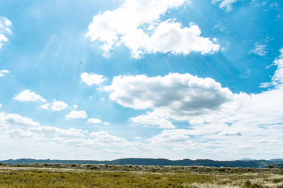 Scenic view of field against sky