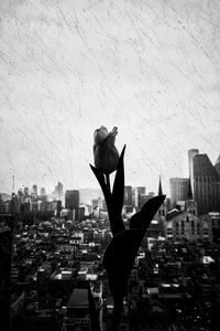 Silhouette woman with arms raised against buildings in city