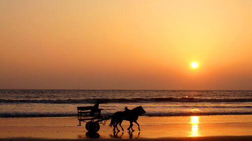 Silhouette people on beach during sunset