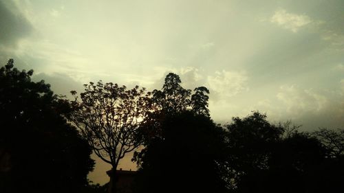 Low angle view of silhouette trees against sky at sunset