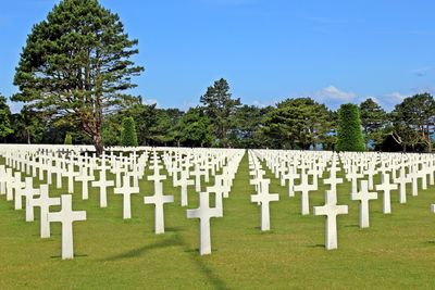 Crosses at meuse-argonne american cemetery and memorial