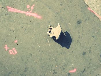 High angle view of animal representation on road