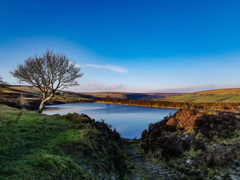 Scenic view of lake against clear blue sky
