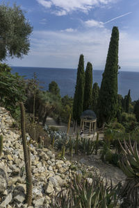 Cactus plants at beach against sky