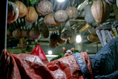 Close-up of fruits for sale in market