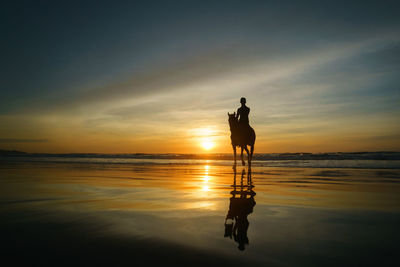 Silhouette person riding horse at beach during sunset