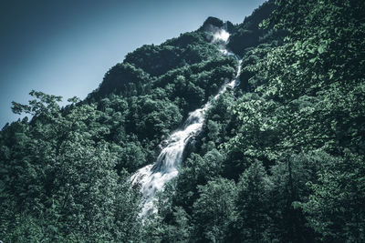 Low angle view of waterfall in forest against sky