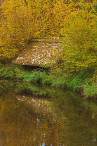 Scenic view of lake in forest during autumn