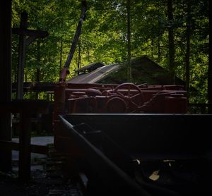 Abandoned truck on field in forest