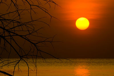 Scenic view of silhouette tree against romantic sky at sunset