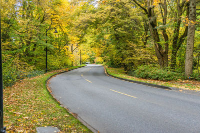 Fall foliage along the road through washington park arboretum in seattle, washington.