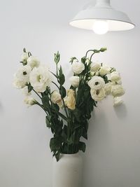 Close-up of flowers in vase