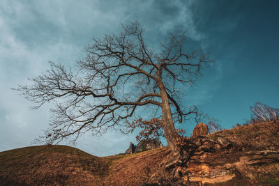 Autumn landscape in the elbe sandstone mountains, germany.