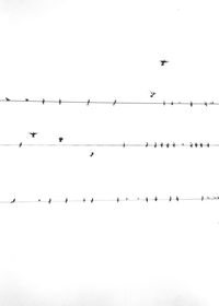 Low angle view of birds flying in sky