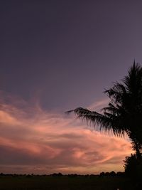 Low angle view of silhouette trees against sky during sunset