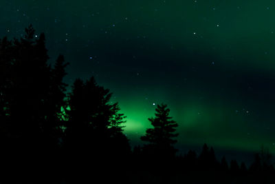 Silhouette trees against sky at night