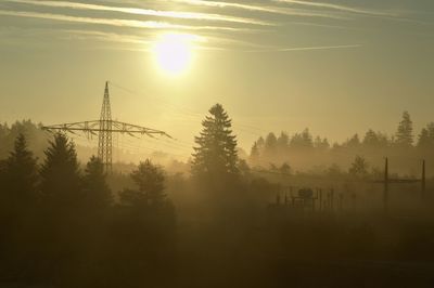 Sun shining through trees