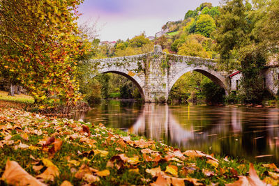 Arch bridge over river during autumn