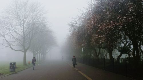 Road passing through forest