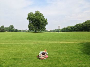 People relaxing on grassy field in park