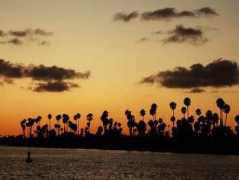 Silhouette palm trees by sea against sky during sunset