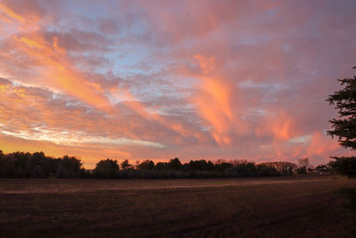 Scenic view of field against sky during sunset