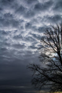 Low angle view of bare tree against sky