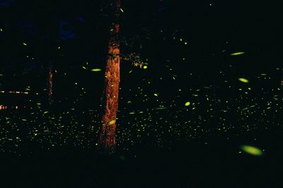 View of illuminated tunnel