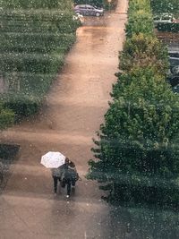 High angle view of people walking on wet road