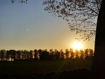 Silhouette trees on field against sky during sunset