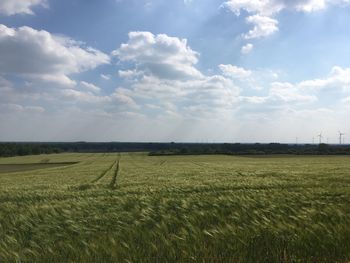 Scenic view of agricultural field against sky