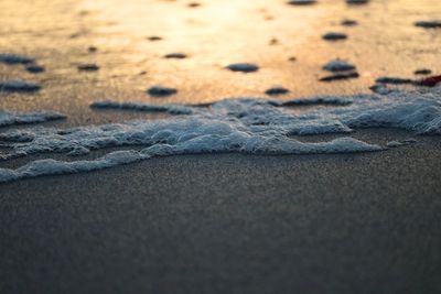 Surface level of sandy beach