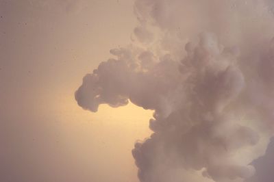 Trees against cloudy sky