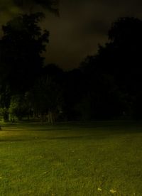 Scenic view of field against sky at night