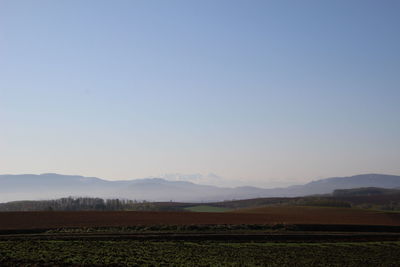 Scenic view of agricultural field against clear sky