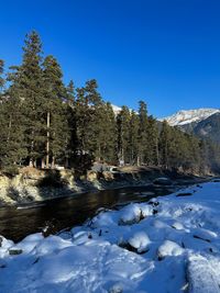 winter