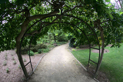 Fisheye archway