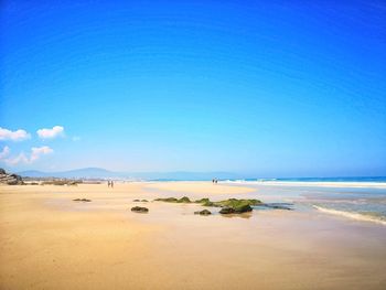 Scenic view of beach against blue sky