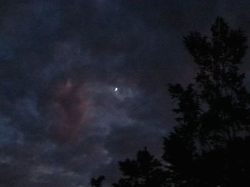 Low angle view of silhouette trees against sky at night