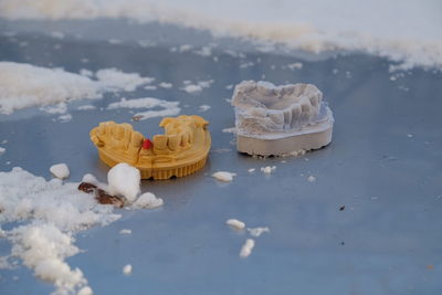 Close-up of seashell on beach