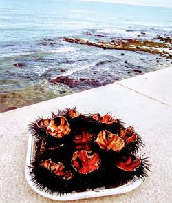 High angle view of flowers on beach