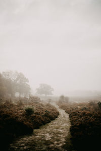 Scenic view of landscape against sky during foggy weather